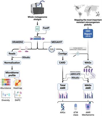 Metagenomics insights into bacterial diversity and antibiotic resistome of the sewage in the city of Belém, Pará, Brazil